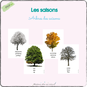 Arbres des saisons