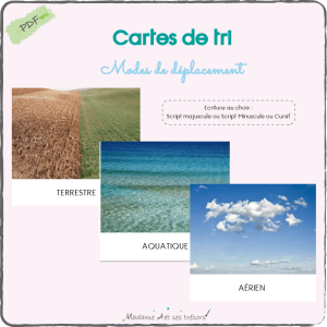 Cartes de tri - Modes de déplacement