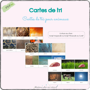 Cartes de tri pour animaux