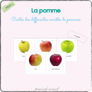 La pomme - Les différentes variétés de pommes