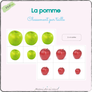 La pomme - Classement par taille