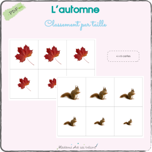 L'automne - Classement par taille