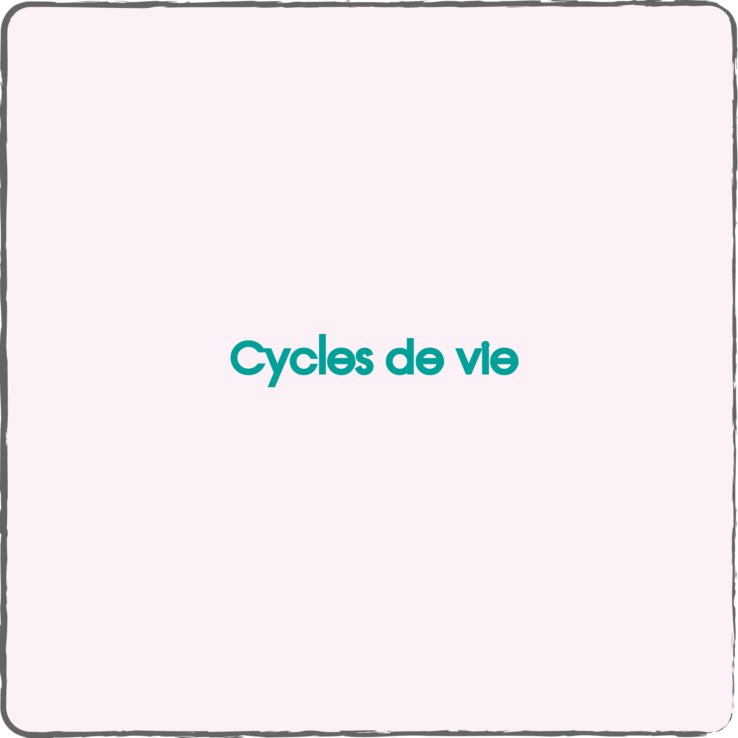 Cycles de vie