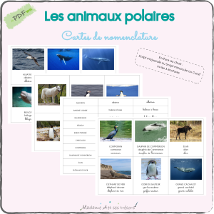 Les animaux polaires - Cartes de nomenclature