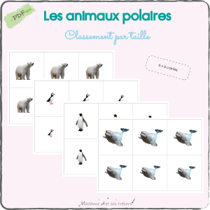 Les animaux polaires - Classement par taille