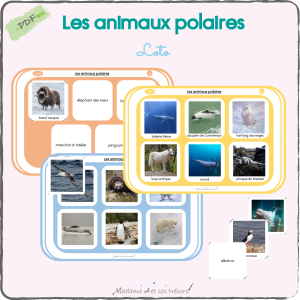 Les animaux polaires - Loto